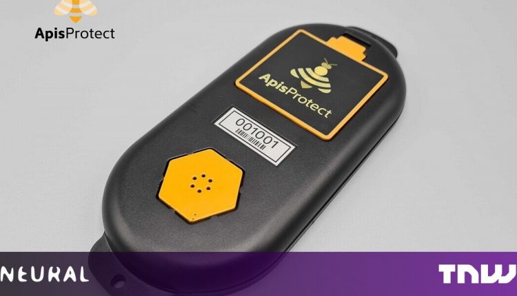 How ApisProtect used AI and IoT to protect beehives

