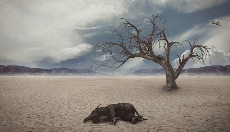 Finding: Land animal mass extinction occurs in a 27 million year cycle

