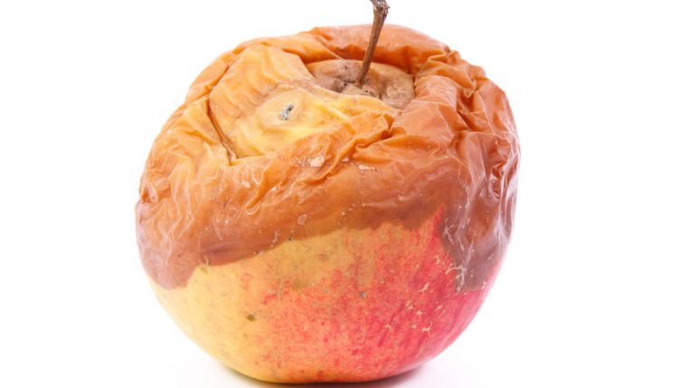 New York's Climate Leadership and Community Protection Act - Is It Right?

