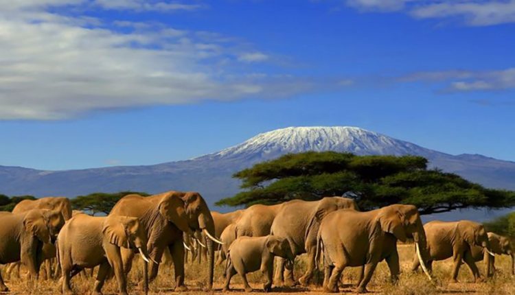 Video - Watts Up With That?

