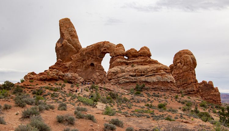 Weekly Climate and Energy News Roundup #439 – Watts Up With That?