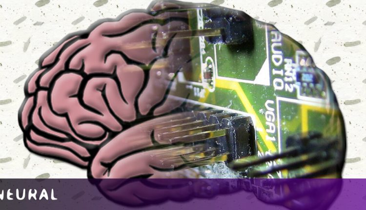 New MIT brain research shows how AI can help us understand consciousness

