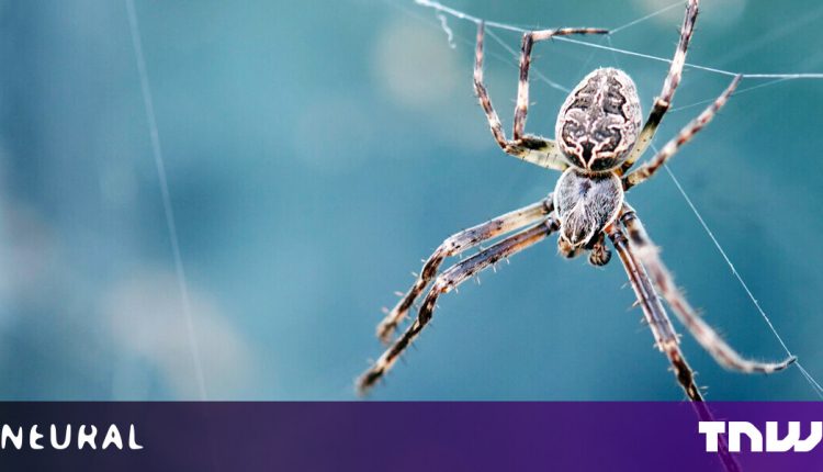 Spider legs build webs without the help of the brain - and could inspire robot limbs


