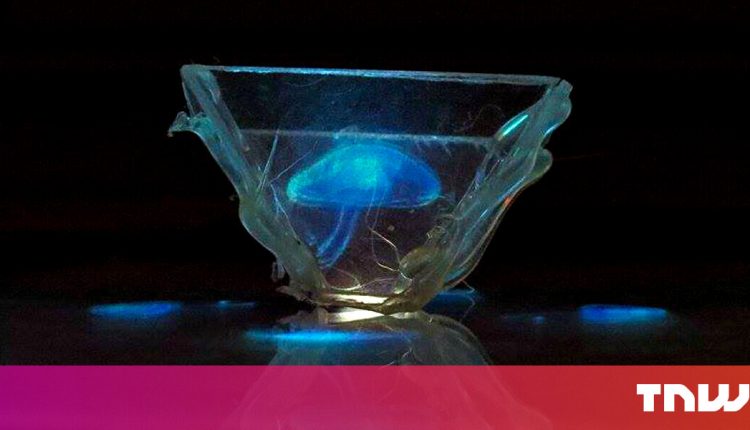 Quantum physics has the answer to better holograms


