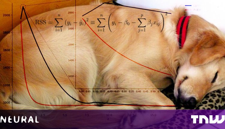 Here's how to turn your dog's nap time into a regulated linear model

