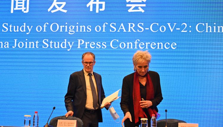 The WHO outlines the Wuhan results on the causes of the Covid pandemic

