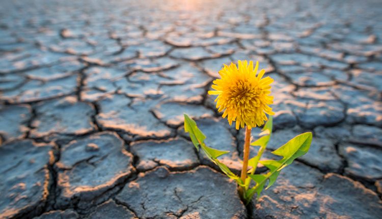 Why I am a climate realist - does that agree?

