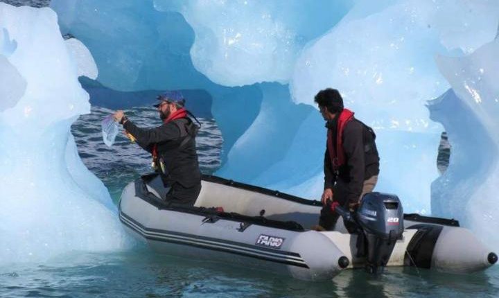 Measuring melting ice - watts with it?

