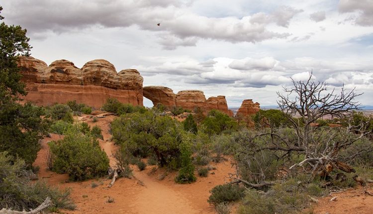 Weekly Climate and Energy News Roundup #444 – Watts Up With That?