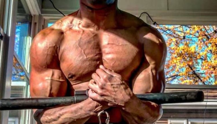 The ultimate isometric exercise guide

