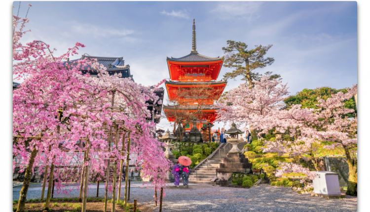 Cherry pick real cherries - Watts Up with it?

