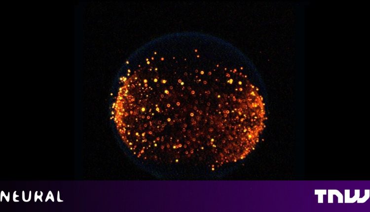 How lightly powered robots fly in the wafer-thin Martian atmosphere

