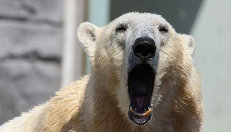 Most people think climate change is serious, but other issues are more important - watts with that?

