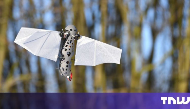 Are bio-inspired drones the next big thing in unmanned flight?


