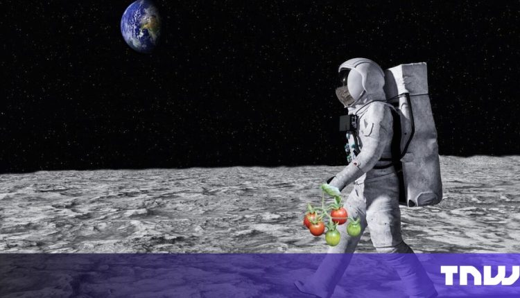 The European Space Agency unveils a new plan for growing crops on the moon

