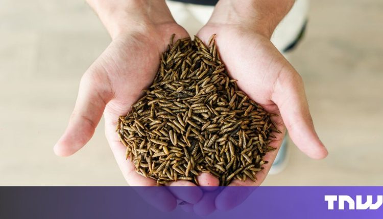 Insect farming start-up aims at pet food as a gateway to human predation

