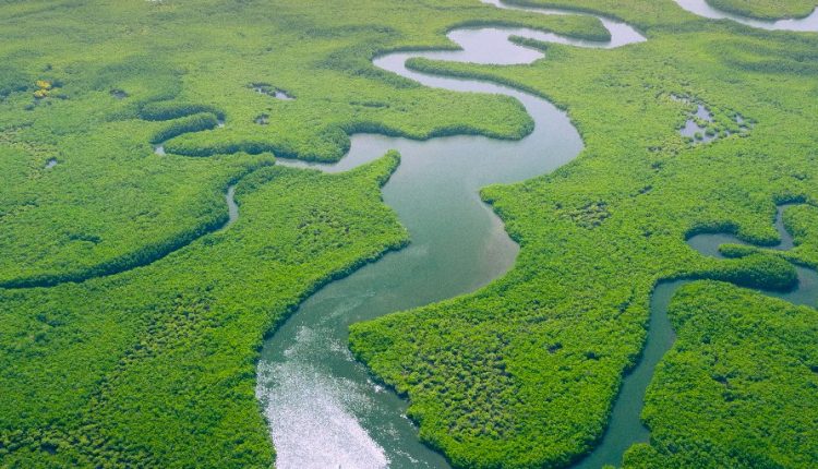 Yes, BBC, global warming is lengthening the growing seasons of plants - watts with that?

