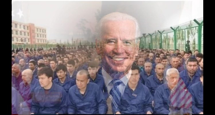 Biden wants to veto tariffs on Chinese solar imports through forced labor - more watts with it?

