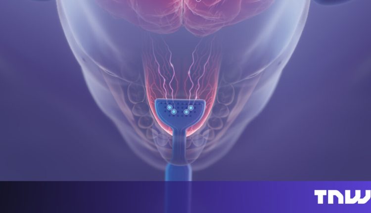 Ireland's Neuromod raised €30m to extend the reach of tinnitus treatment technology

