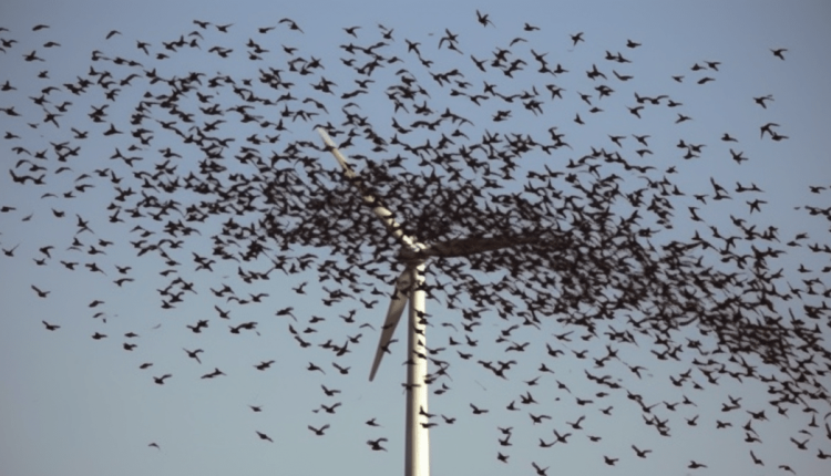  How much wind kill do we want?  - Are you done with that?

