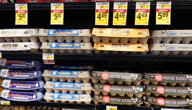 Wholesale prices rose 0.3% in July, higher than expected