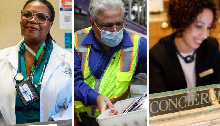 Here’s where the jobs are for November 2023 in one chart