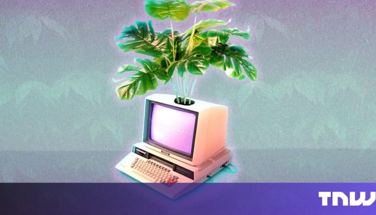 5 ways to boost your salary as a software developer in 2024