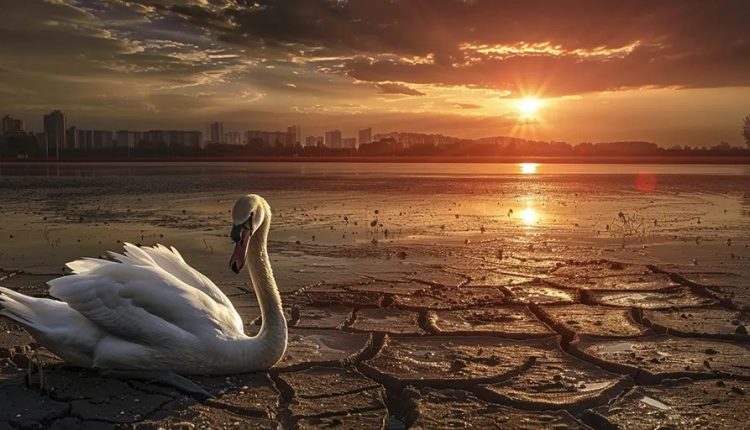 Wrong, Bloomberg, climate change is not the next “black swan” for the markets – what’s the point?

