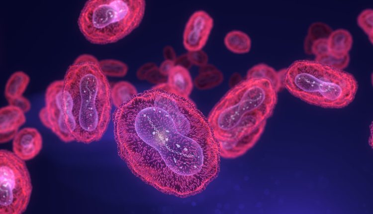 This is how Asian countries reacted to the WHO’s declaration of emergency

