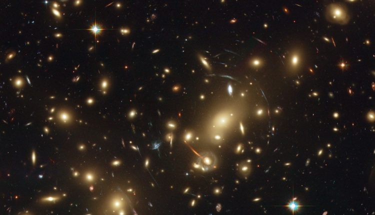 Galaxies in dense environments are getting bigger

