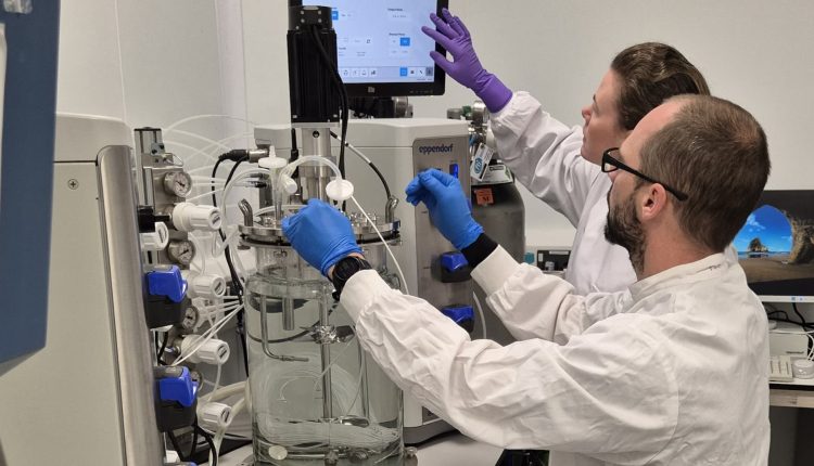 Safi Biotherapeutics grows blood to combat shortages

