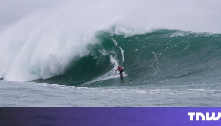 Big wave surfer rises from the barrel with $120 million regenerative agriculture fund

