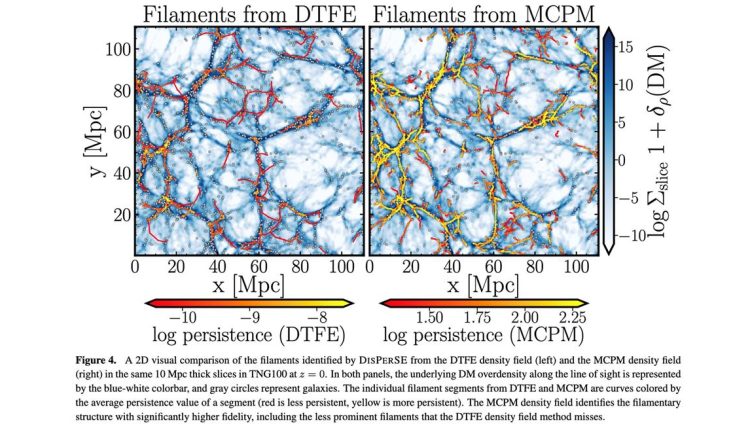 Slime molds can tell us something about the cosmic web

