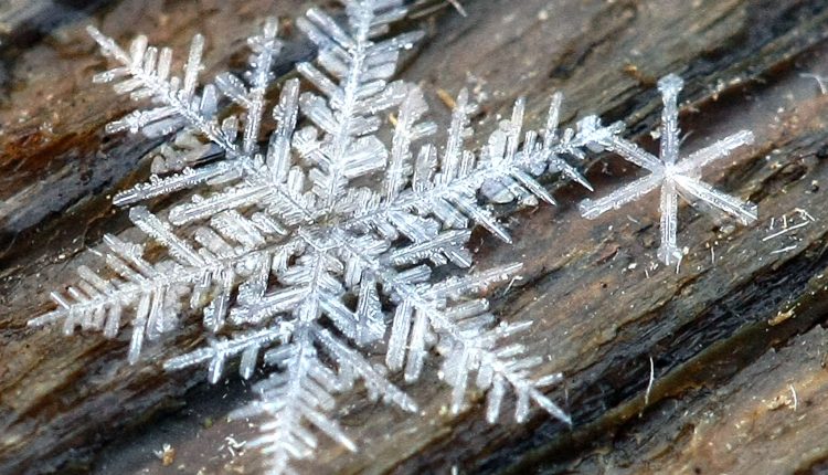 Is the universe a fractal?

