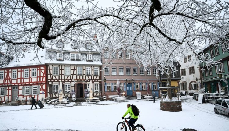 Inflation in the euro zone, December 2024

