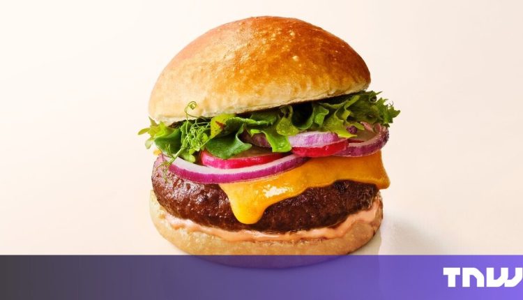 Cultivated beef pioneering mosa meat is greasy in Switzerland first

