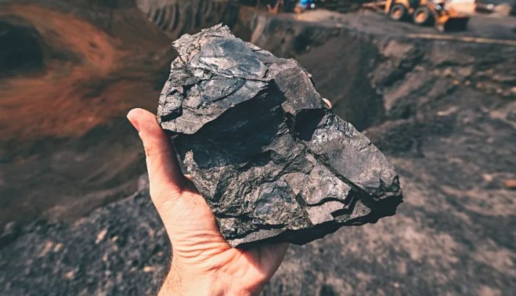 The coal fleet can underpin the agenda of frequency of energy - so is it with the mudflats?

