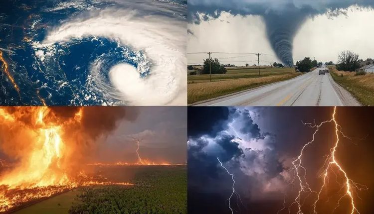 The case for a US disaster examination committee - watts with that?

