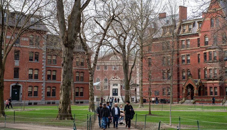 Trump examines Harvard Law's review of the discrimination against racial discrimination

