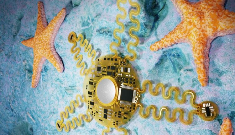 Sea -like device is an insight into the future of portable sensors

