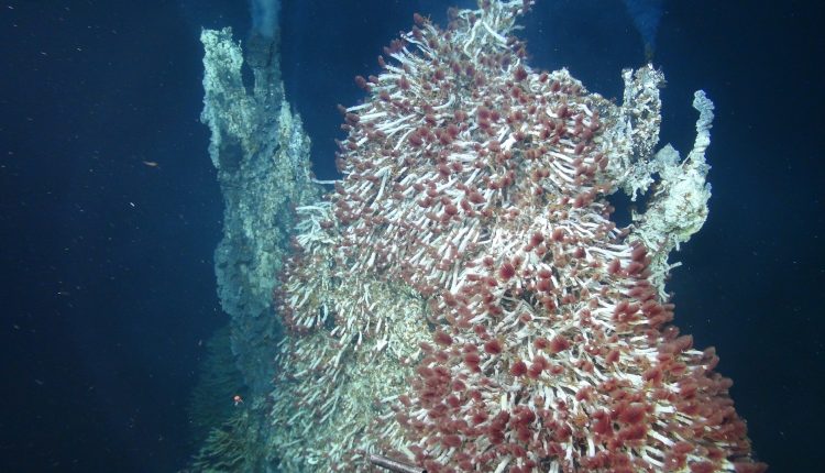 Deep-sea vents with extreme life may exist inside Jupiter's moon Europa. Credit: UMass Amherst