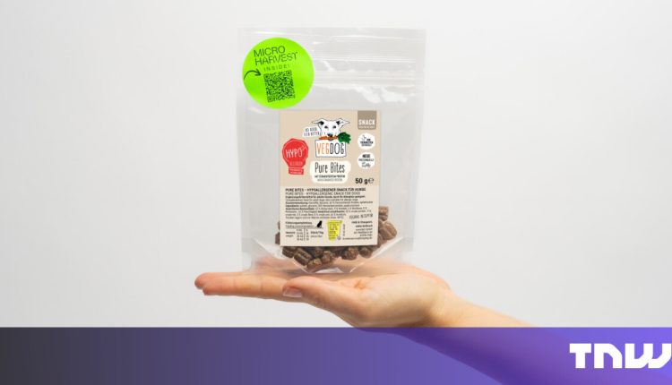 A Lisbon laboratory transforms dead bacteria into dog consultations. Next: human snacks

