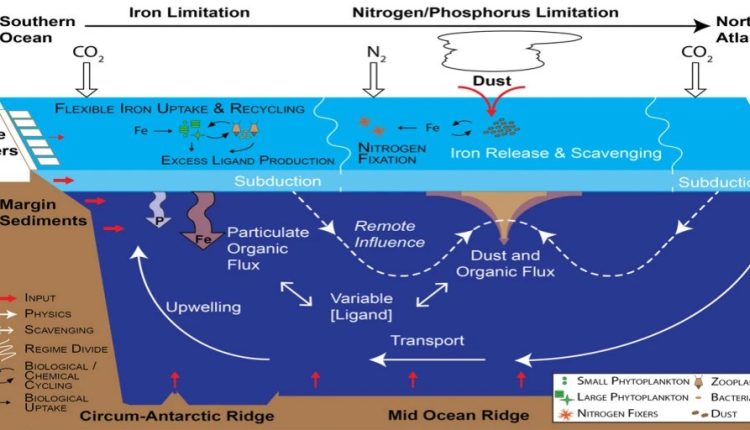 Iron's role in the climate history of the earth - is it one?

