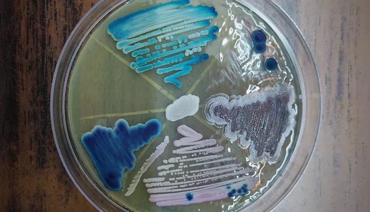 The Trump Administration’s Fight To Fund Scientists – Watts Up With That?